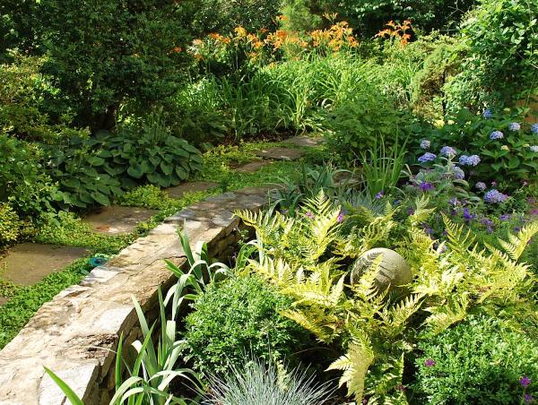 Bethesda Garden Design