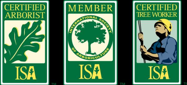 Los Angeles Arborist