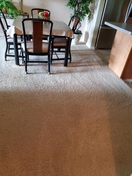 Bella Shine Cleaning Services