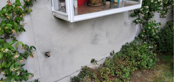 Stucco Repair Los Angeles