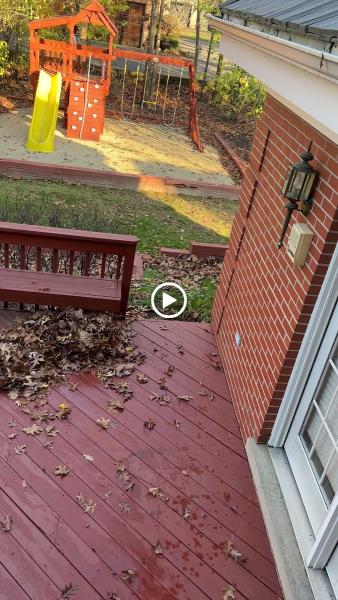 Scrub Bee's Pressure Washing LLC