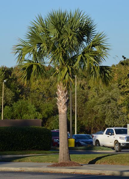 TKK Irrigation & Landscaping