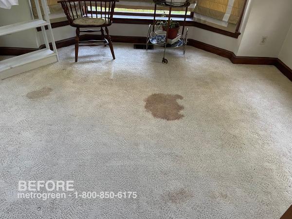 Metrogreen Carpet Cleaning