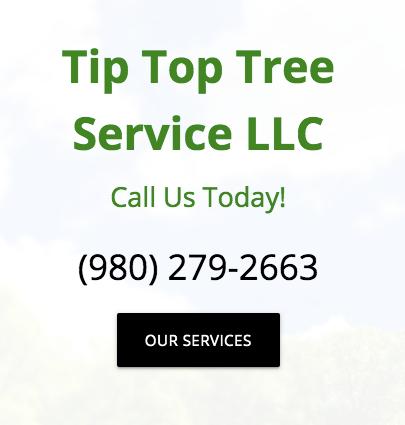 Tip Top Tree Service LLC