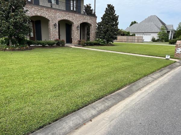 Trugreen Weed Control