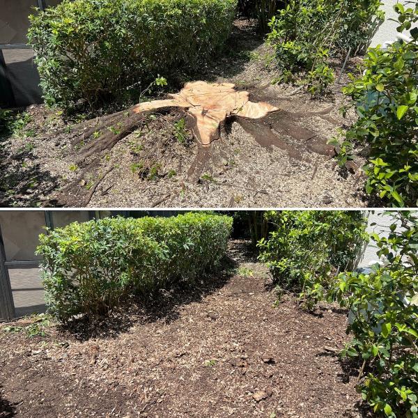 Stump Busters