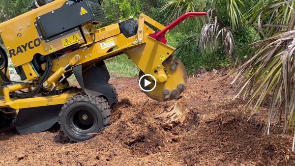 Stump Busters