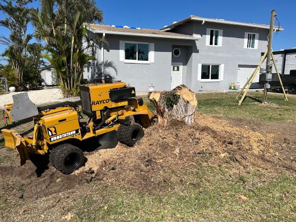 Stump Busters