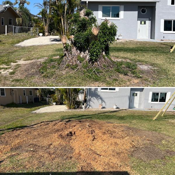 Stump Busters