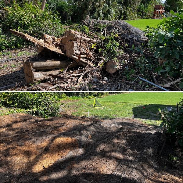 Stump Busters