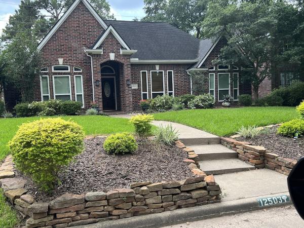 Vizion Windows & Doors