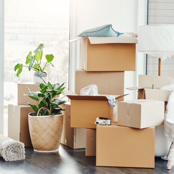 Irvine Moving Openservice