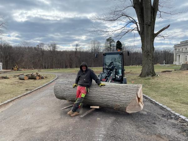 Van's Tree Service