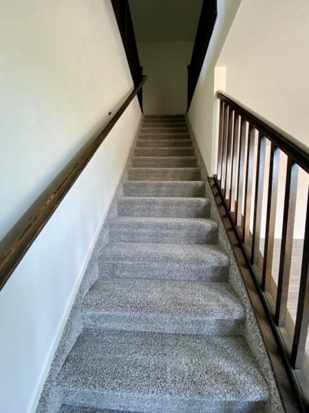 David's Oriental Rug Pros