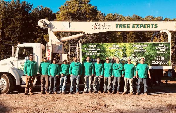Southern Scapes Tree Experts