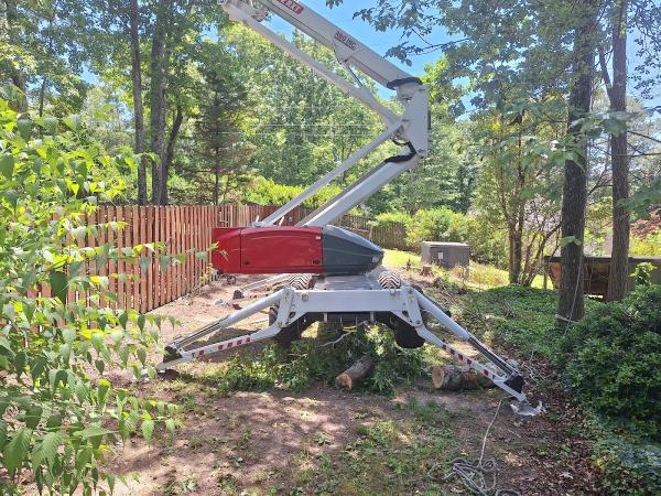 Southern Scapes Tree Experts