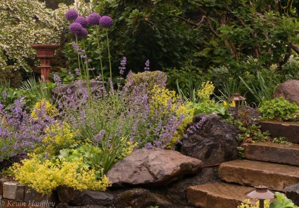 Jenna Bayer Garden Design