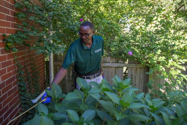 Gunter Pest & Lawn