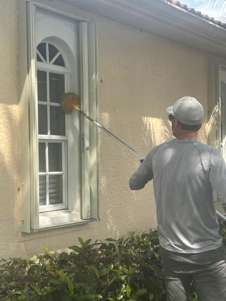 Palmetto Pest