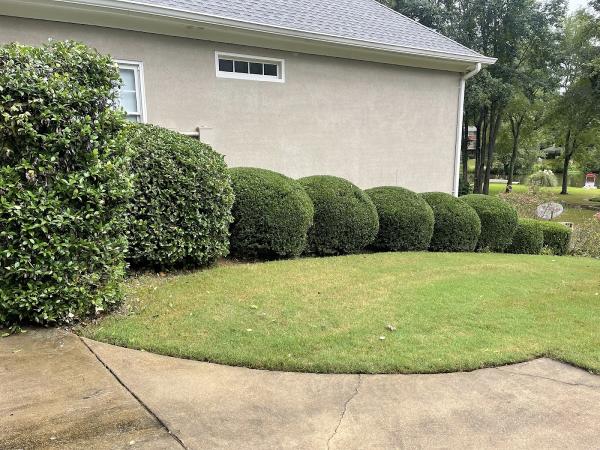 Legit Lawn Care LLC