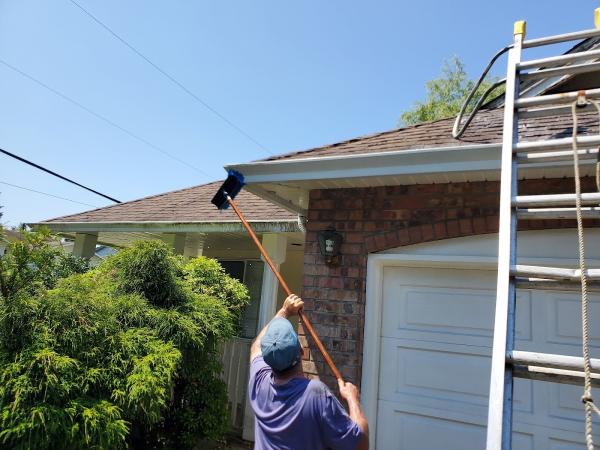 Rainforest Home Maintenance