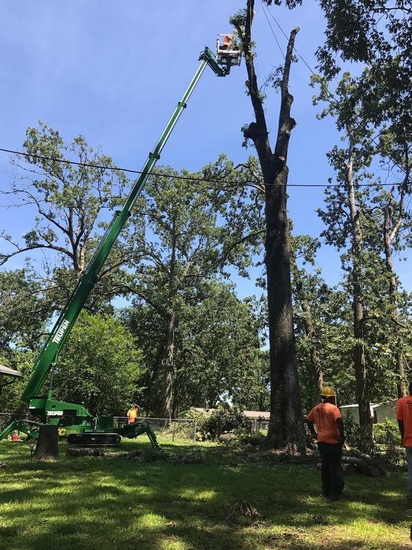 A-1 Discount Tree & Lawn Service