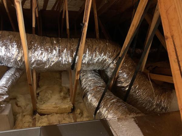 Coastal Cooling Inc
