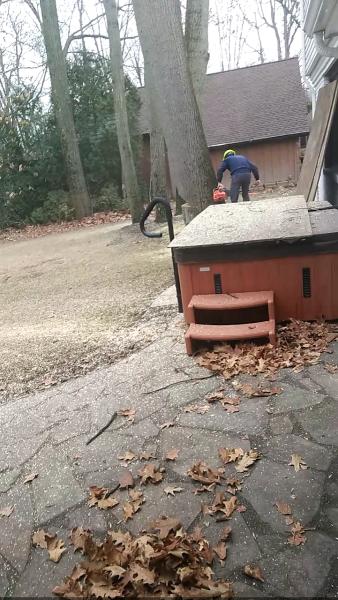 Klar Tree Service