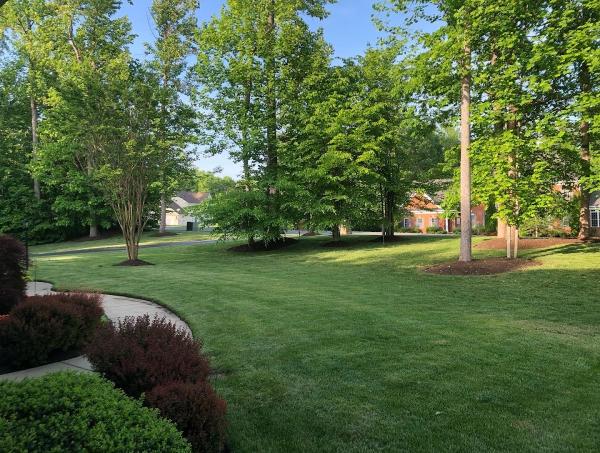 Bailey's Lawn Care Services