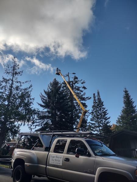 Eager Beaver Tree Service