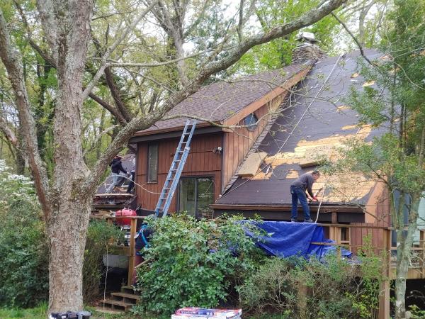 Hale Roofing