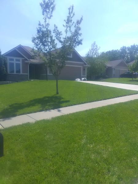D. Stueve Lawn Care