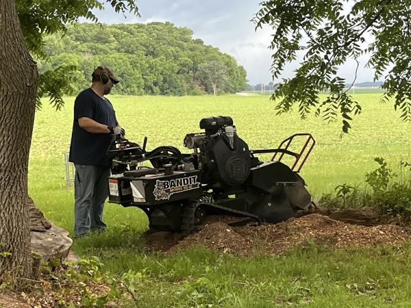Wilkins Stump Grinding