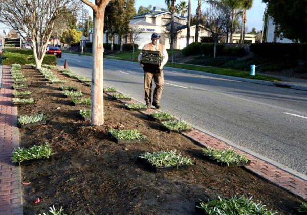 Complete Landscape Care Inc
