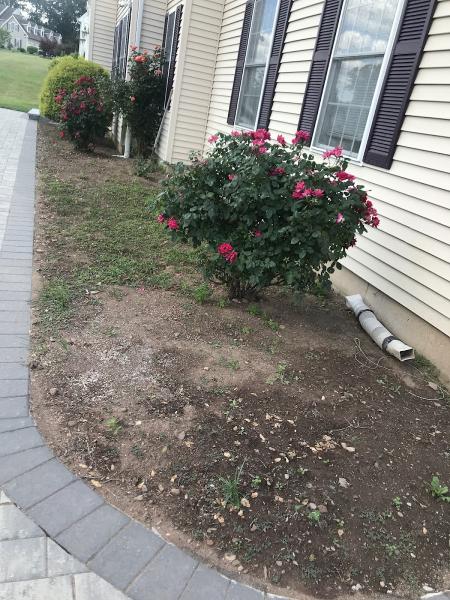 Arroyo's Landscaping