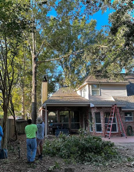Acadian Tree & Stump Removal Service
