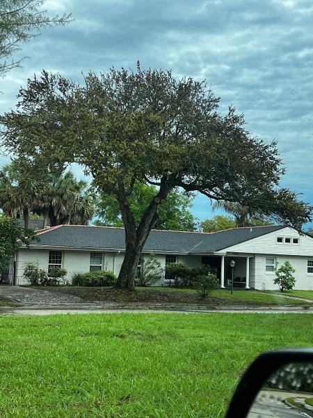 Acadian Tree & Stump Removal Service