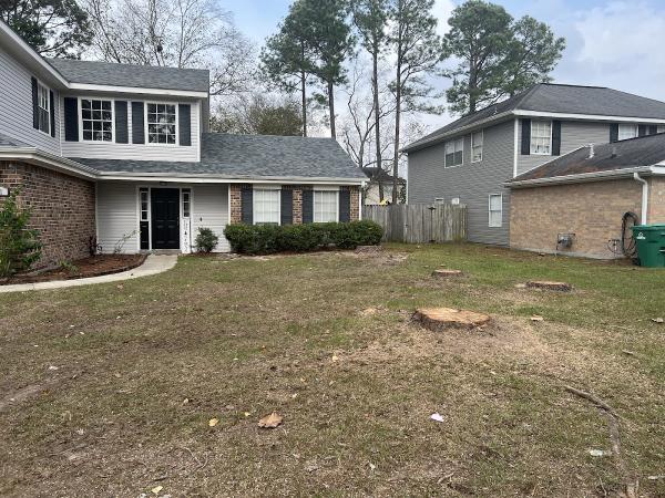 Acadian Tree & Stump Removal Service