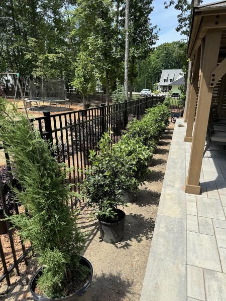 Walters Landscapes