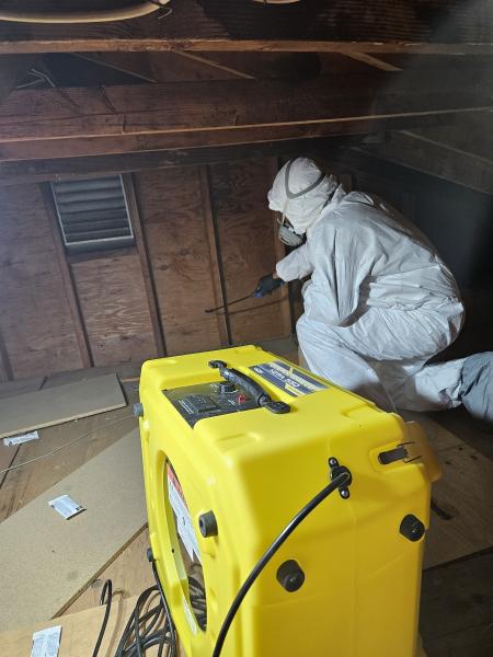 Jun Deegan Mold Remediation Services