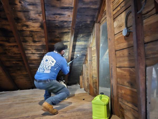 Jun Deegan Mold Remediation Services