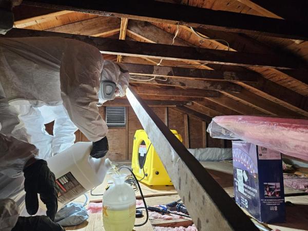 Jun Deegan Mold Remediation Services