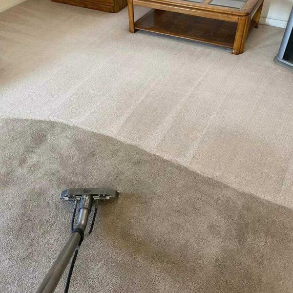 Greeny's Steam Clean