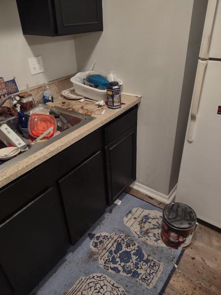 Bright & Clean Cleaning Service LLC