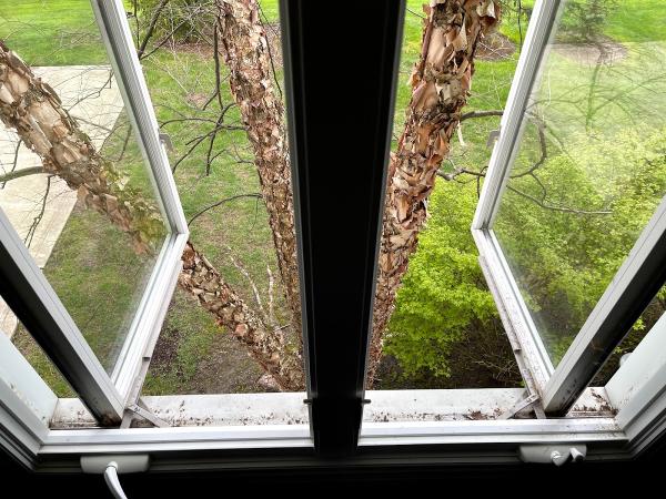 Paneless Window Cleaning