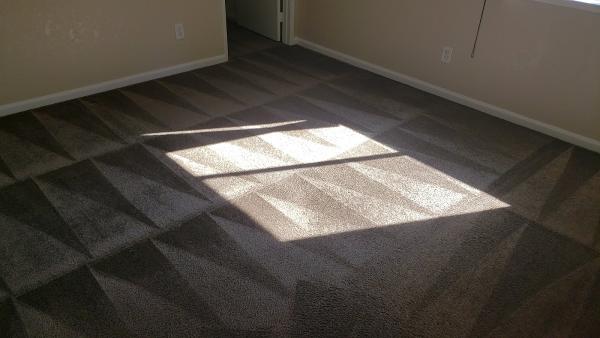 Platinum Carpet Cleaning