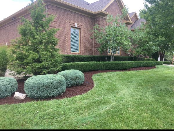 David's Lawn Service Inc.