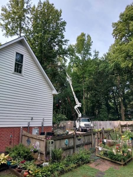 Donald Whorton Tree Services Unlimited