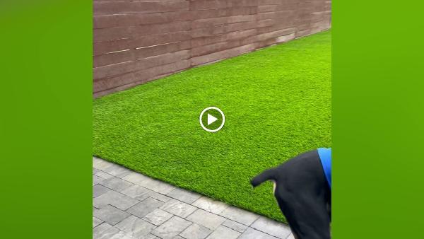 Helix Dreamscapes Turf Installers