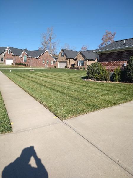 Bautista Lawn Care and Landscaping